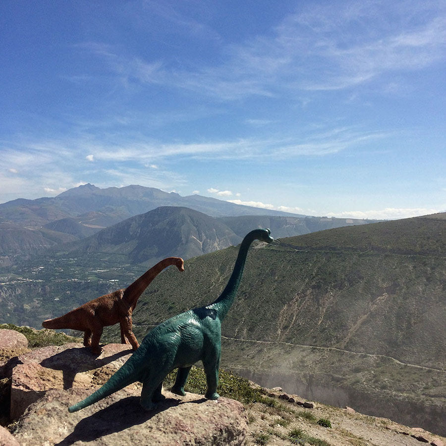 Toy Dinosaur Scenes