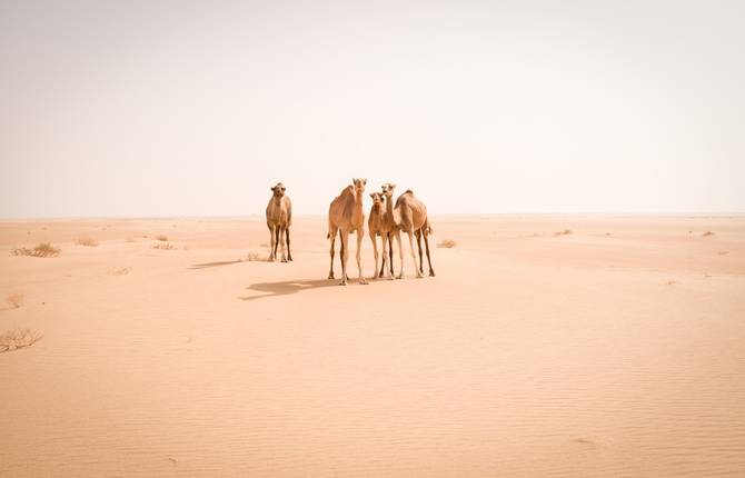 Mind-Blowing Travel Photography by Jody MacDonald