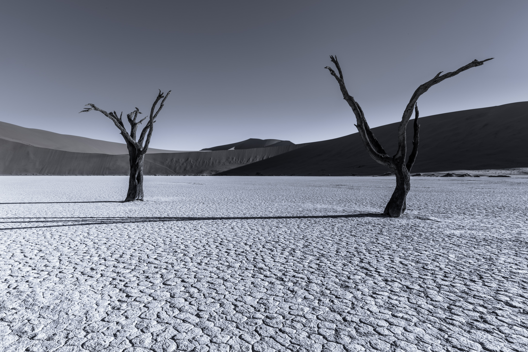 Distraction (Namibia 2015)