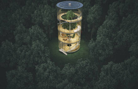 Circular Glass House Featuring a Big Tree in its Heart