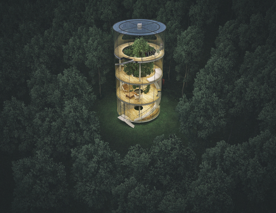treeinhouse-1
