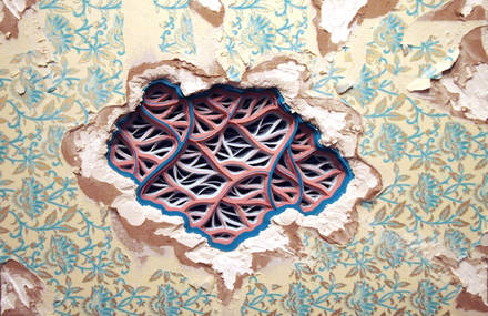 Delicate Paper Installations Using Drywall and Wallpaper