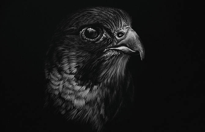 Stunning Realistic Wildlife White on Black Drawings