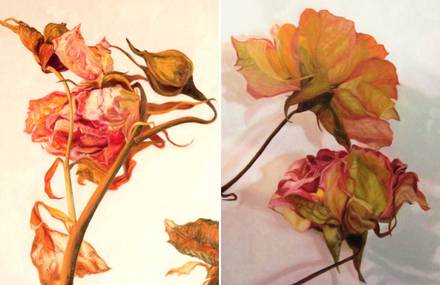 Flowers Paintings by Laureen Marchand