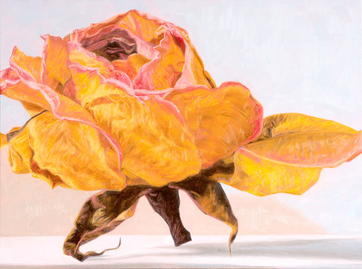 Flowers Paintings by Laureen Marchand3