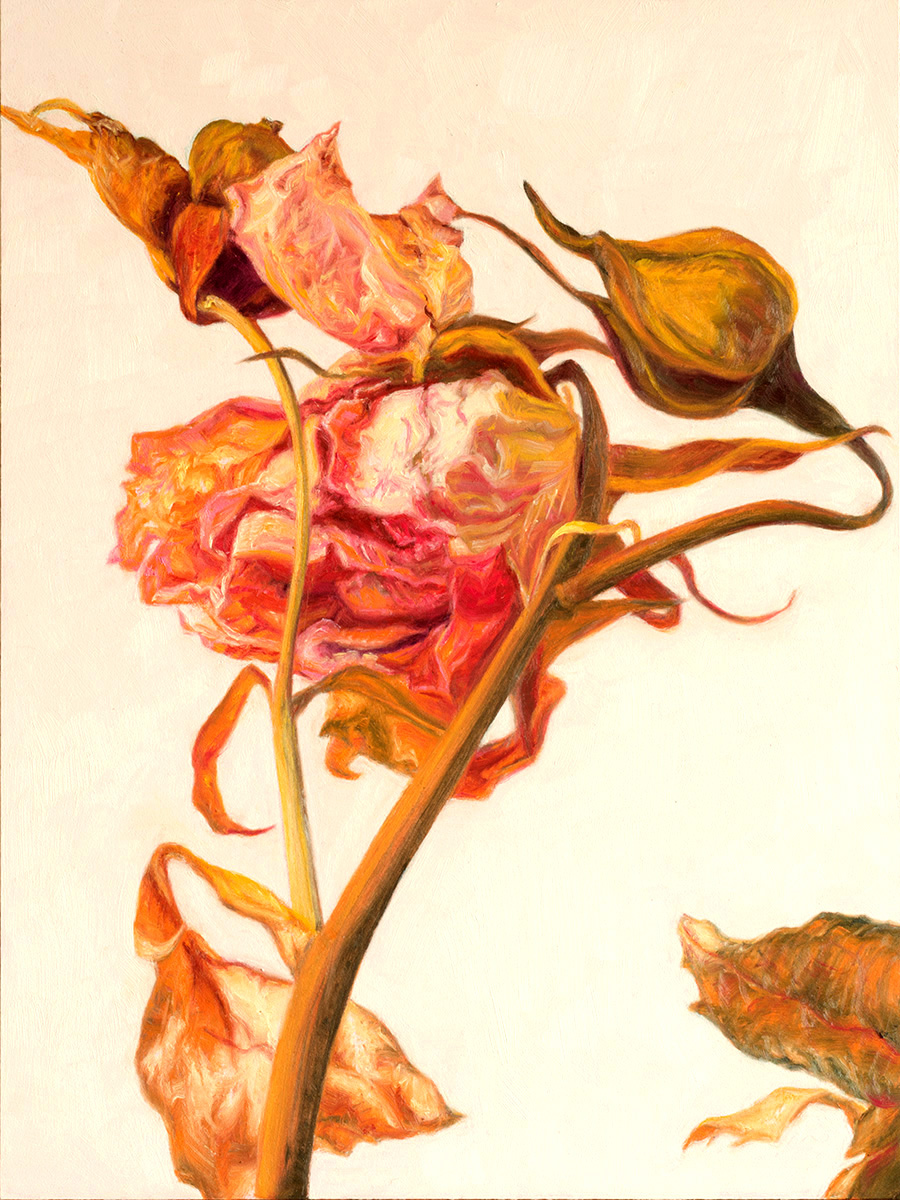 Flowers Paintings by Laureen Marchand4