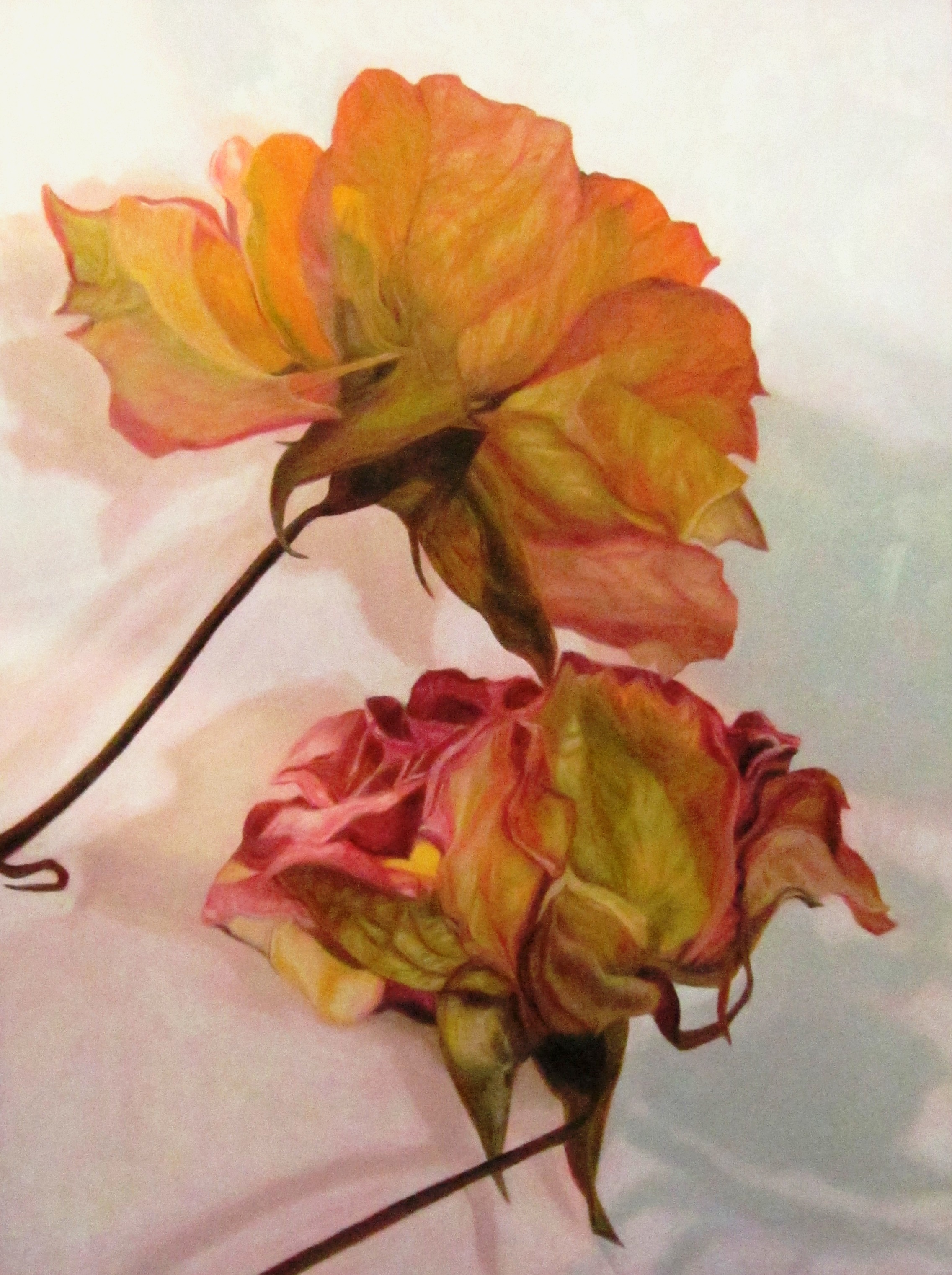 Flowers Paintings by Laureen Marchand5