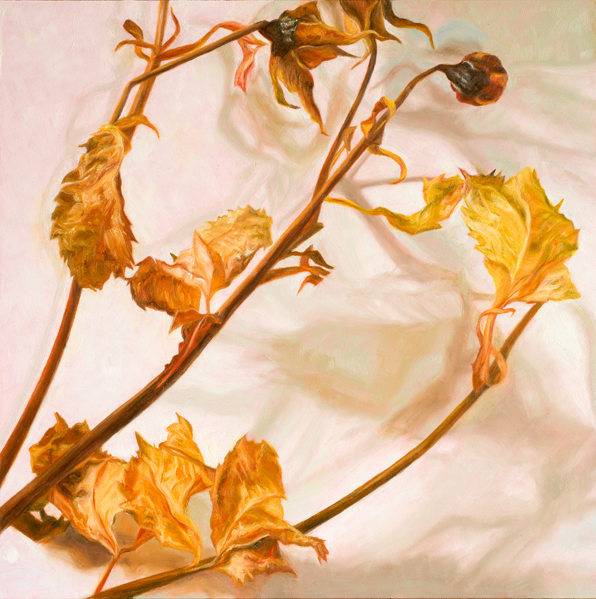 Flowers Paintings by Laureen Marchand6