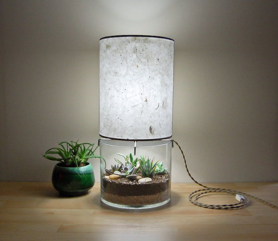 Inventive Terrarium Inserted in a Glass Lamp6