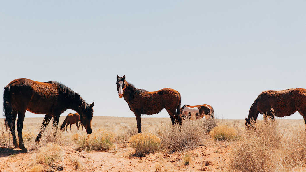 Navajo Reservation Experience Photography7