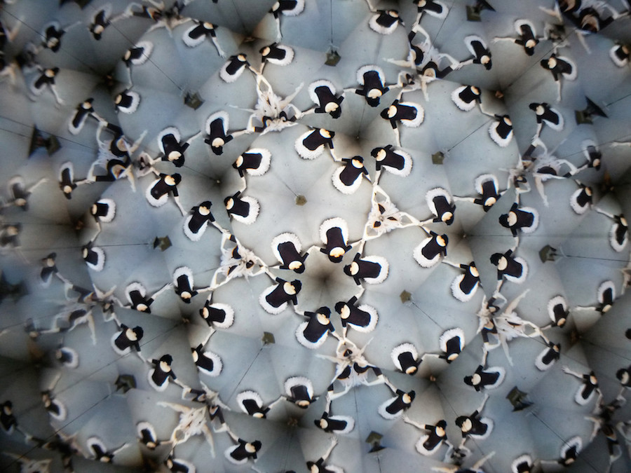 Nice Kaleidoscopic Photographs by Laura Zalenga15