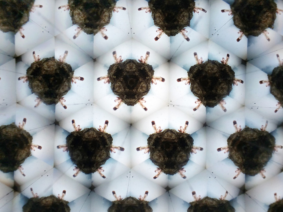 Nice Kaleidoscopic Photographs by Laura Zalenga3