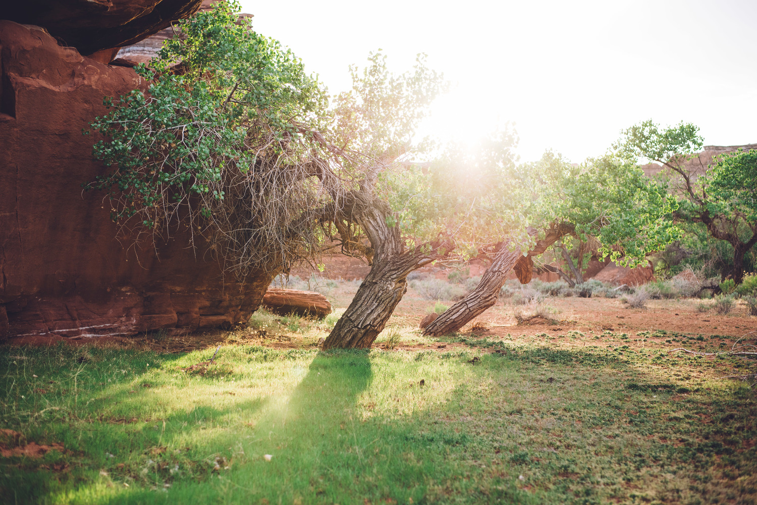 Superb Wild American Landscapes by Luke Gottlieb-6