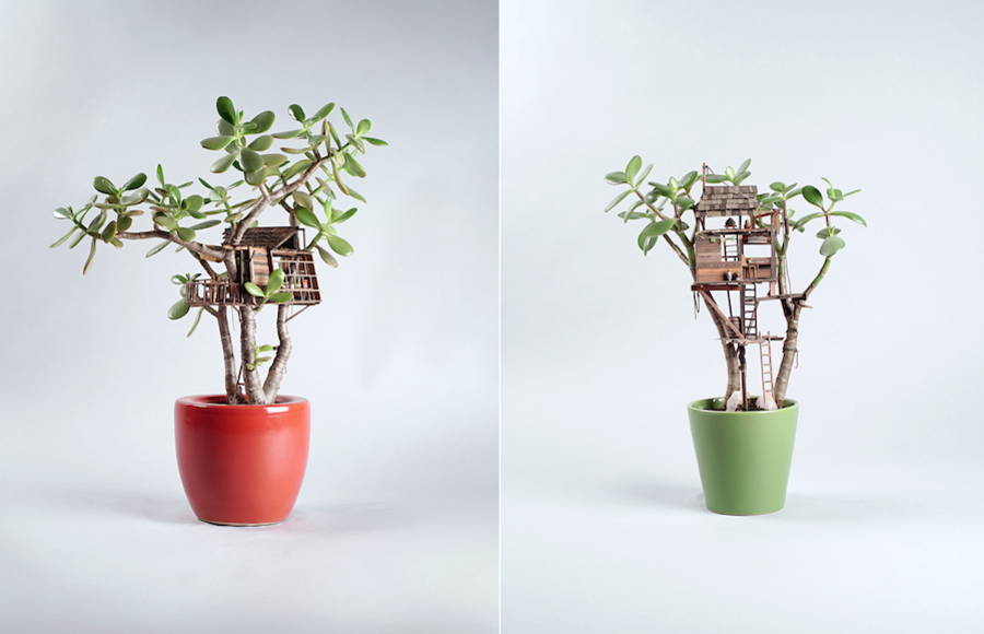 Tiny Wooden Houses Built Around Your Plants