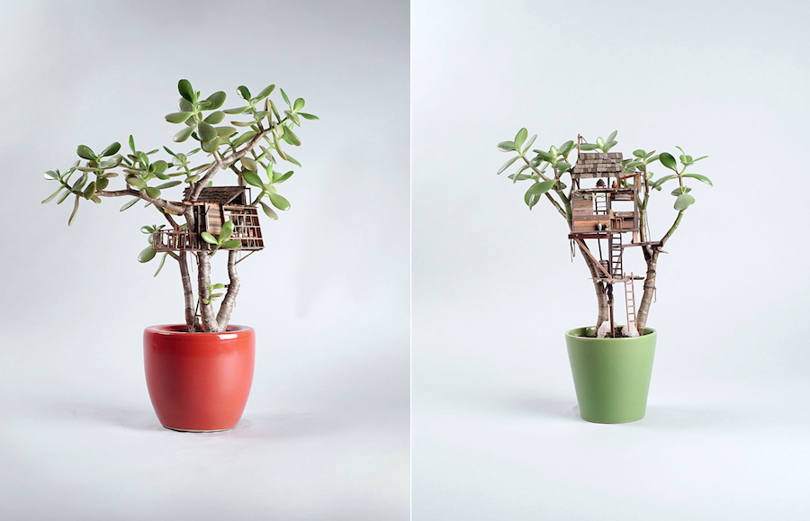 Tiny Wooden Houses Built Around Your Plants1