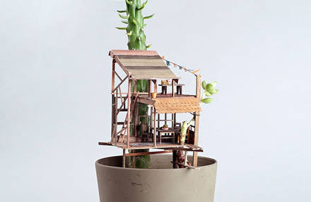 Tiny Wooden Houses Built Around Your Plants