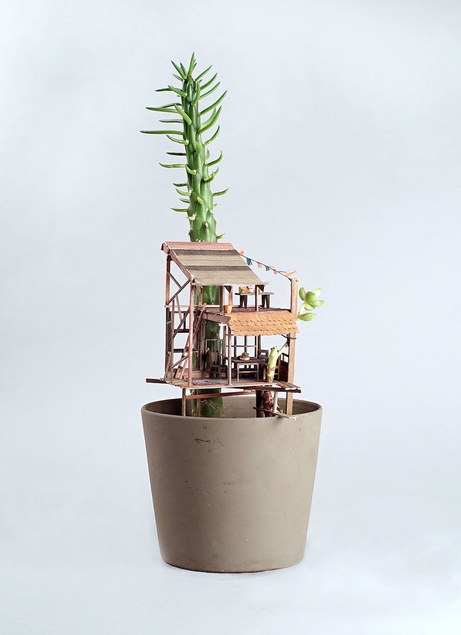 Tiny Wooden Houses Built Around Your Plants2