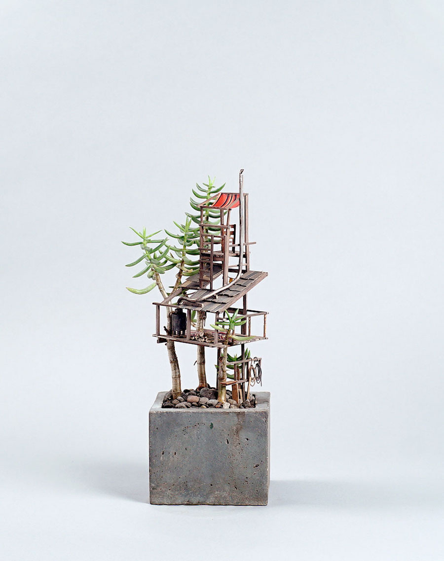 Tiny Wooden Houses Built Around Your Plants3