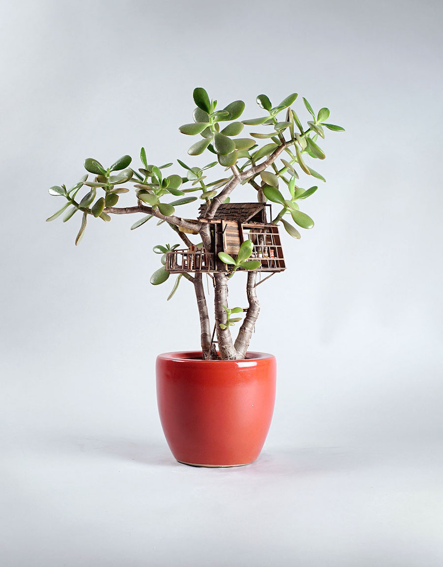 Tiny Wooden Houses Built Around Your Plants4