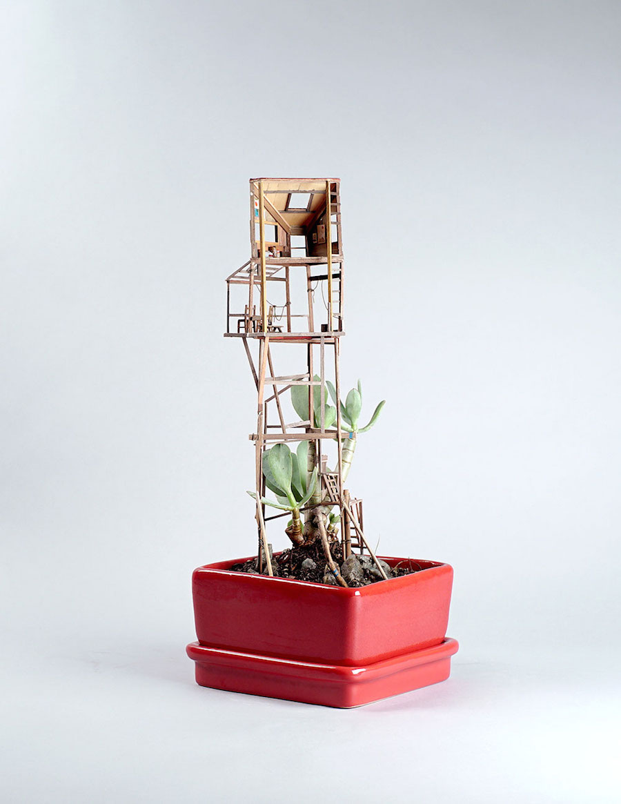 Tiny Wooden Houses Built Around Your Plants5