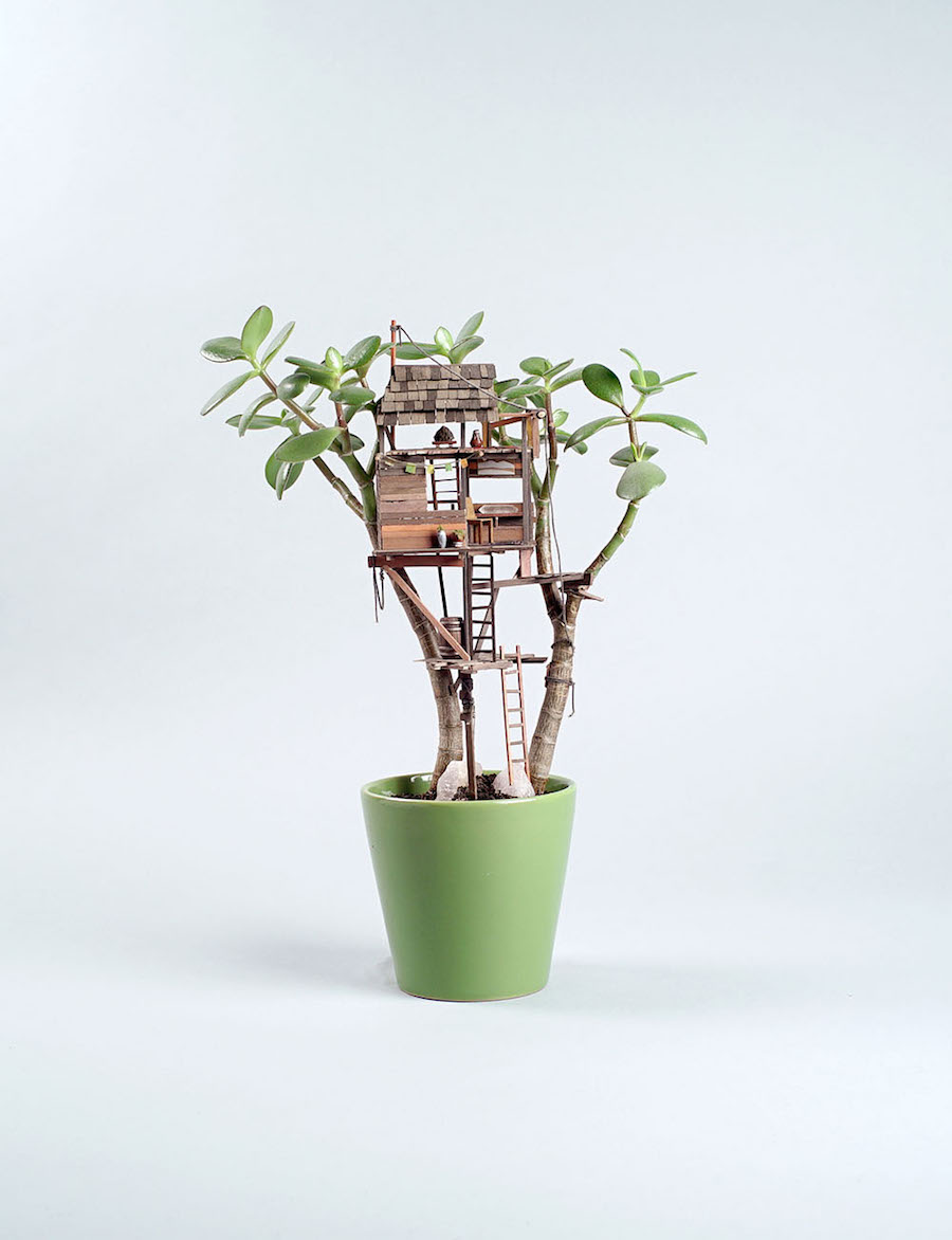 Tiny Wooden Houses Built Around Your Plants7