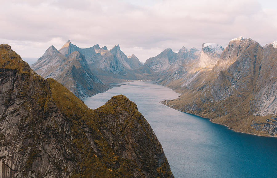 Wandering in Nature With Alex Strohl