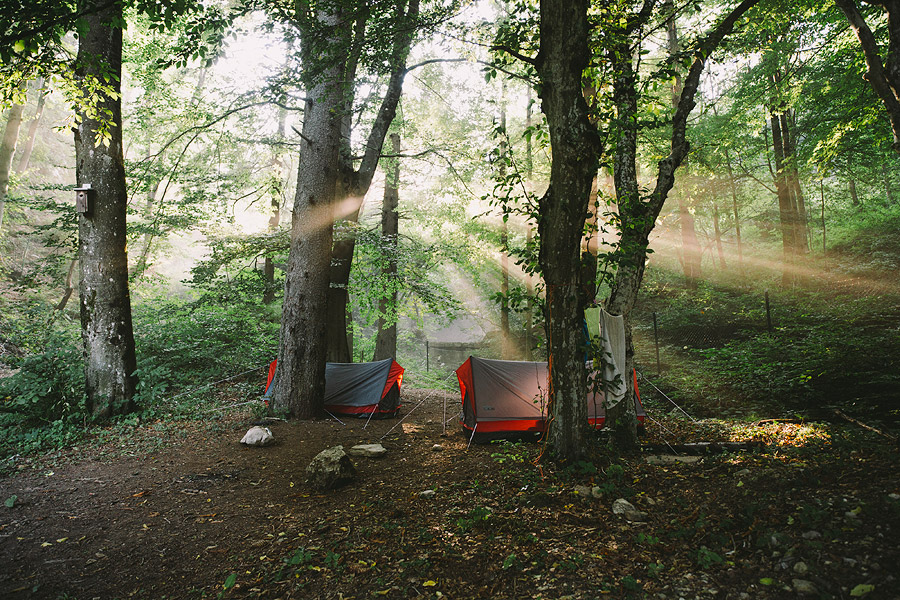 Wandering in Nature With Alex Strohl-14