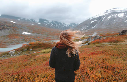 Wandering in Nature With Alex Strohl