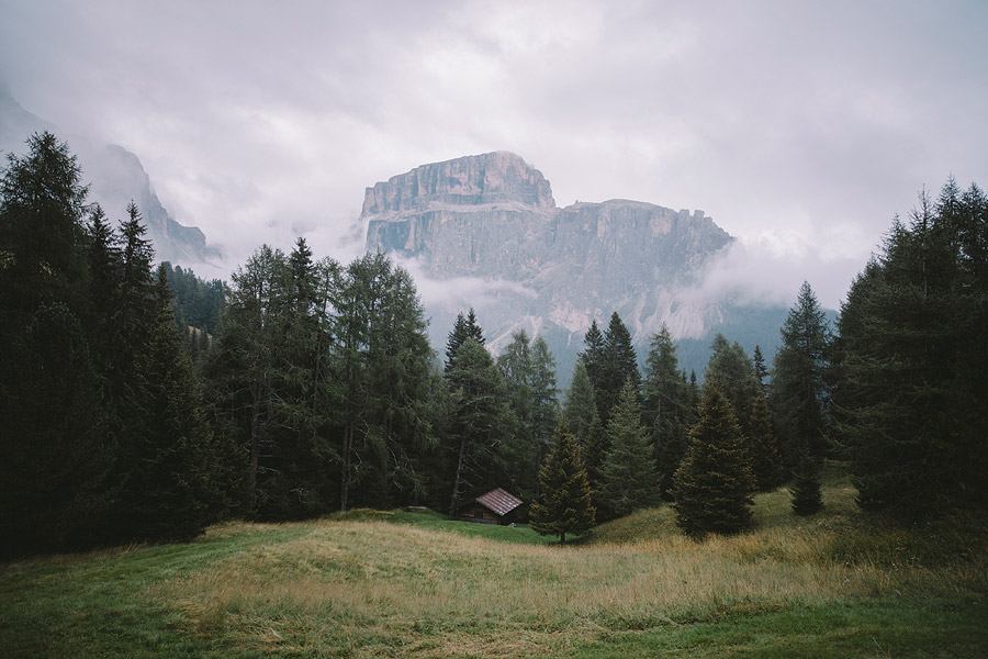 Wandering in Nature With Alex Strohl-22