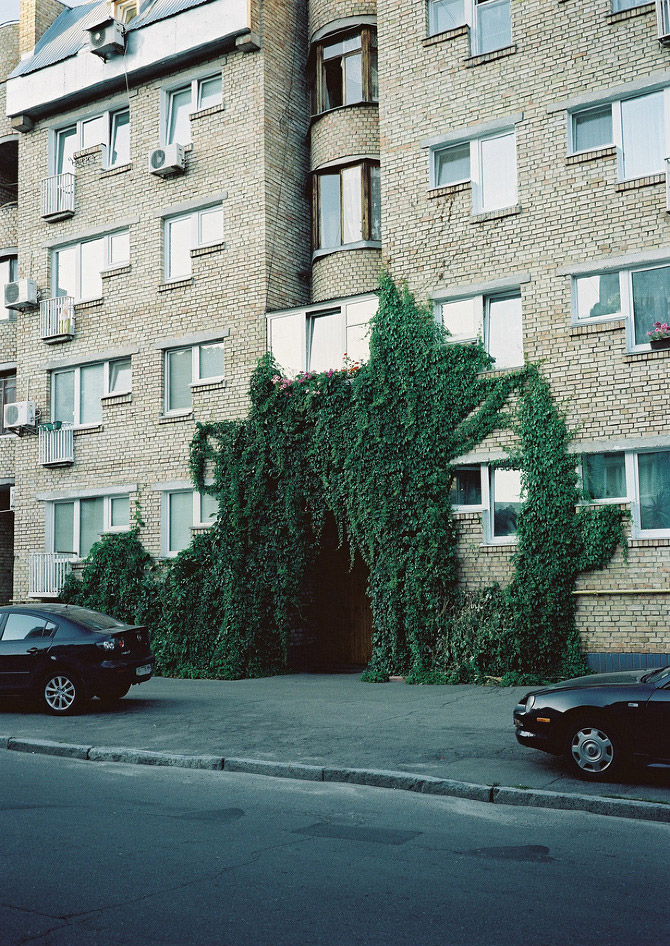 When Nature Meets Architecture in Photography-2