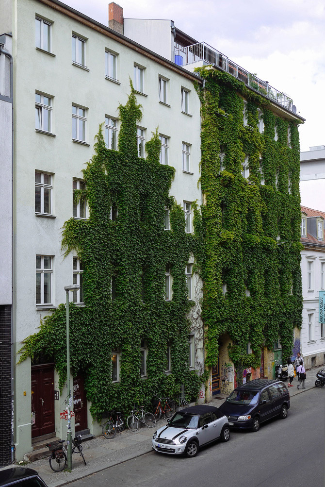 When Nature Meets Architecture in Photography-8