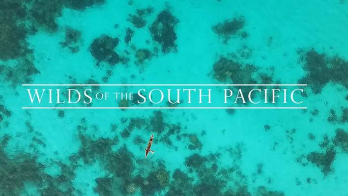Wilds of the South Pacific