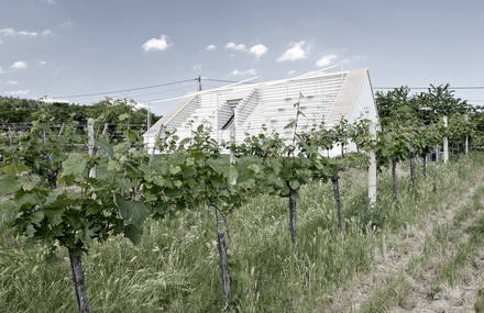 Wine Tavern in Austria