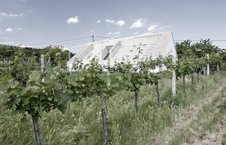 Wine Tavern in Austria