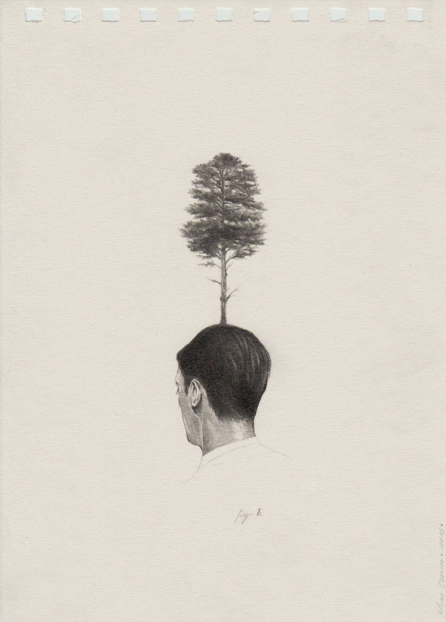 anatomical-2