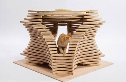 Architects Reunited to Design Creative Cat Shelters for Charity