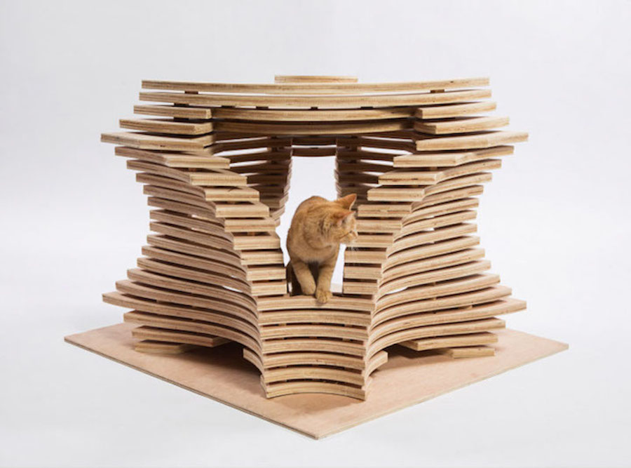 creativecatshelter-0