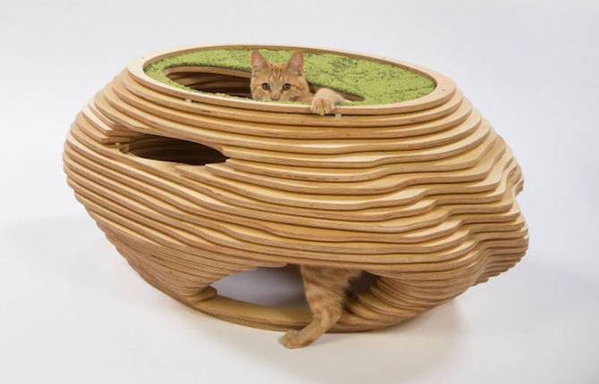 Architects Reunited to Design Creative Cat Shelters for Charity