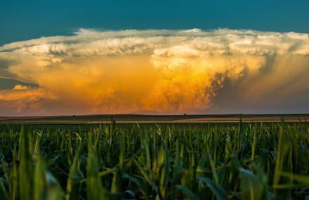 Field Of View – Timelapse