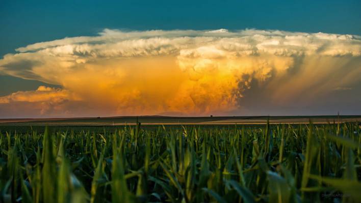 Field Of View – Timelapse