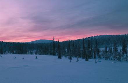 A Winter in Finland Timelapse