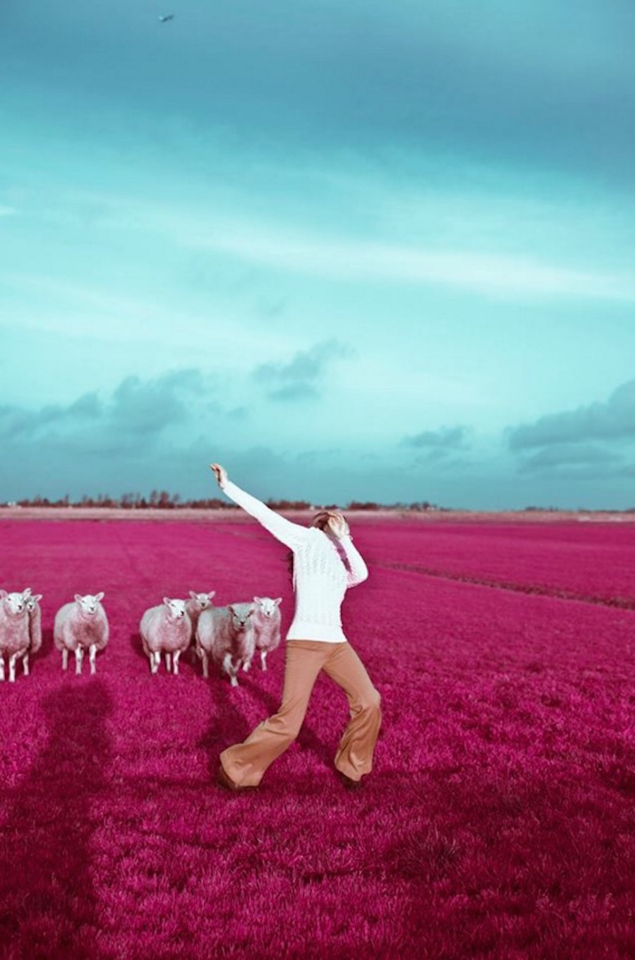 Marusic 1 Fubiz Media