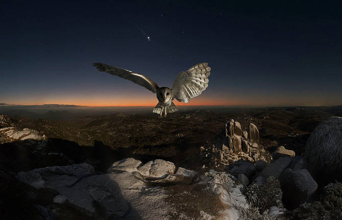 Mythical Apparitions in Nature