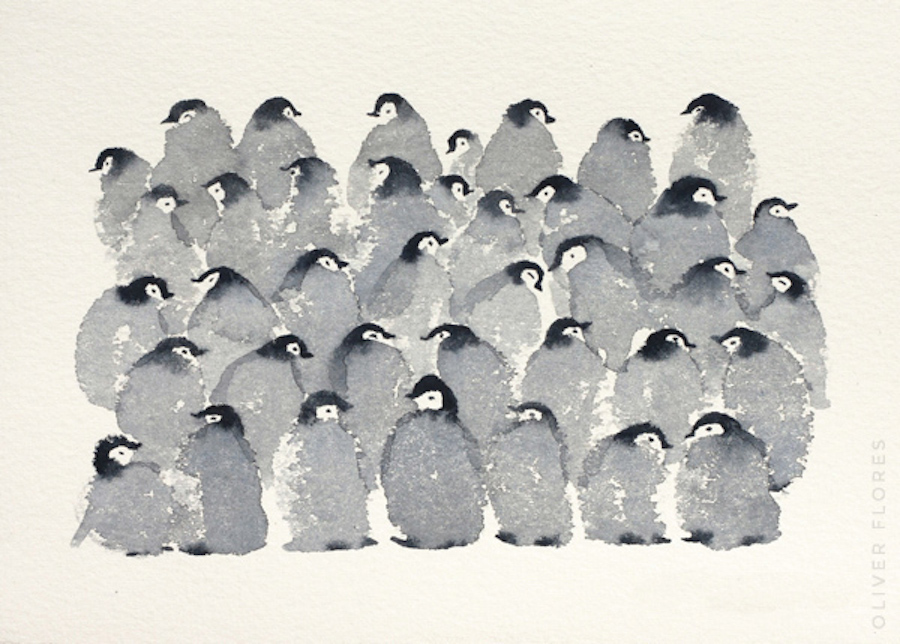 penguins-7