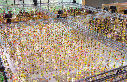 Suspended Floral Spring Garden in Berlin