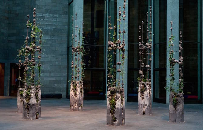 Sculptural Installations made of Concrete and Plants