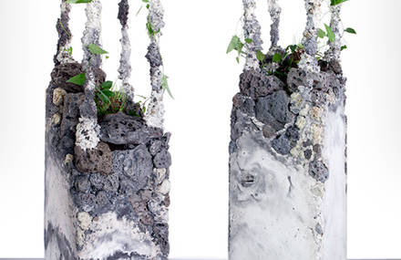 Sculptural Installations made of Concrete and Plants