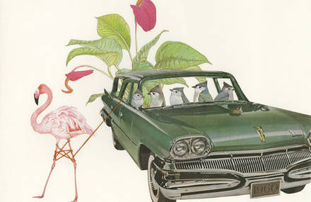 Birds Plants and Vintage Cars Collages