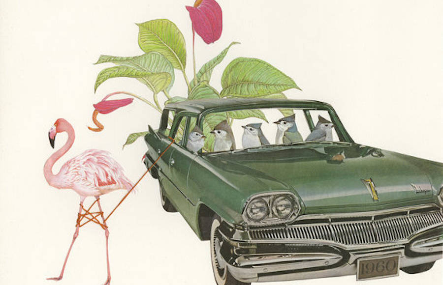 Birds Plants and Vintage Cars Collages