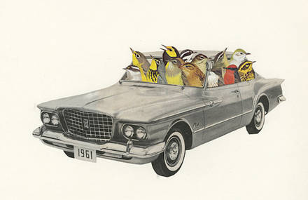 Birds Plants and Vintage Cars Collages